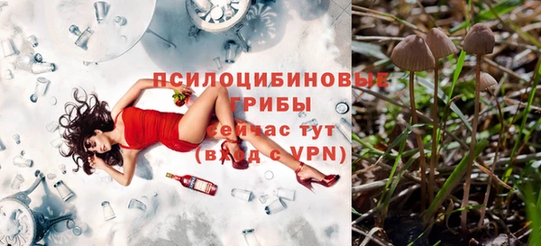 apvp Абдулино