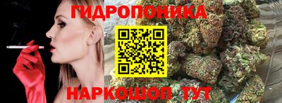 прущие грибы Волжск
