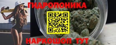 прущие грибы Волжск