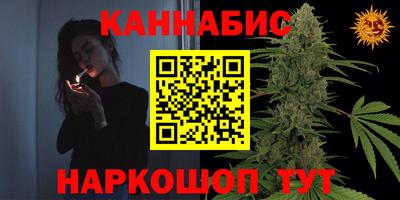 прущие грибы Волжск