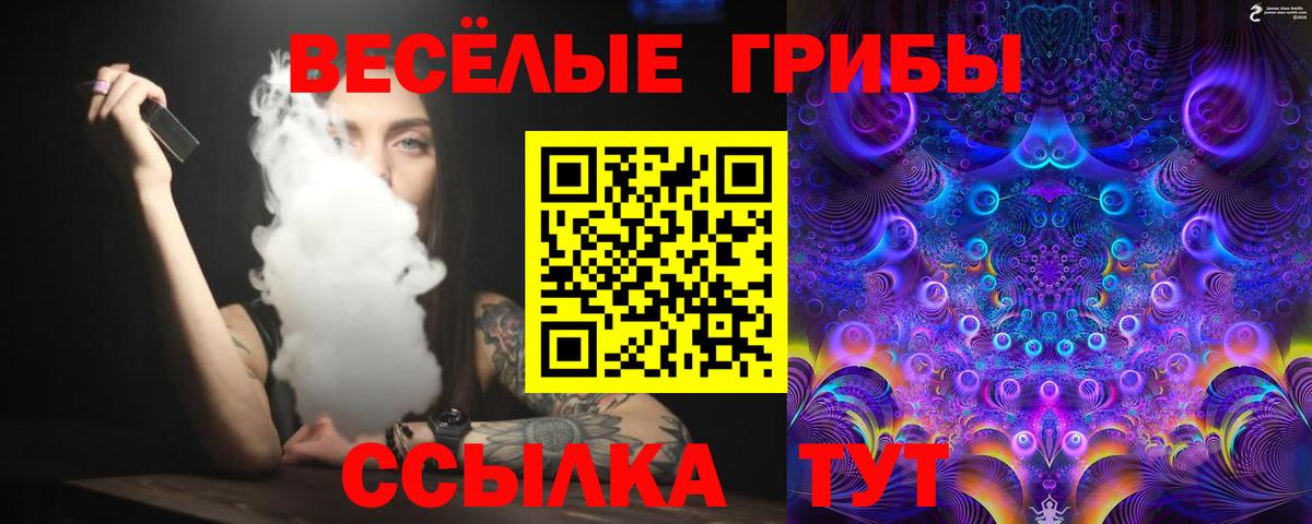 Псилоцибиновые грибы Psilocybe  Вход с VPN  Павловский Посад 