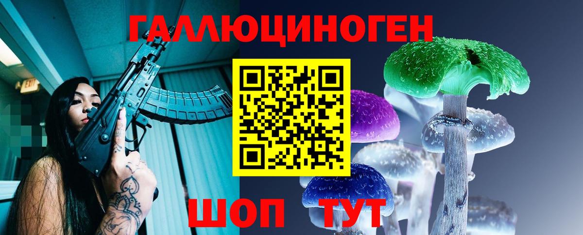 Псилоцибиновые грибы Psilocybine cubensis Павловский Посад