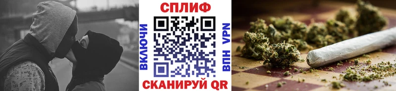 как найти наркотики  Павловский Посад  Конопля конопля 